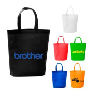 bolsa ecologica